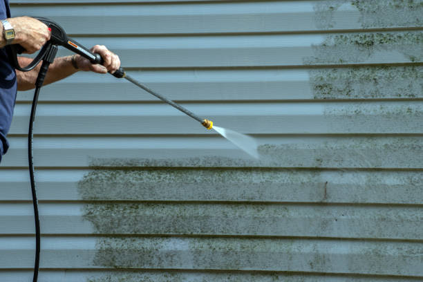 Best Residential Pressure Washing Services  in Elon, NC