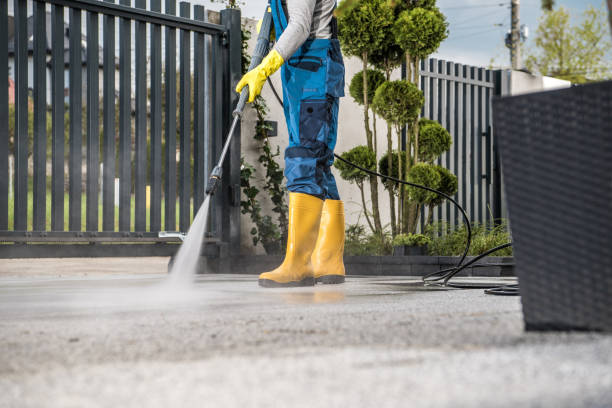 Best Roof Pressure Washing  in Elon, NC